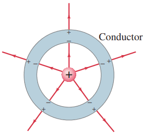 A charge inside a neutral spherical metal shell induces charge on its surfaces. The electric field exists even beyond the shell, but not within the conductor itself.