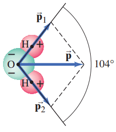 Problem 34. A water molecule, H_2 O.