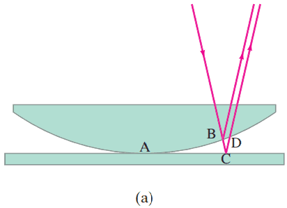 Newton’s rings. (a) Light rays reflected from upper and lower surfaces of the thin air gap can interfere.