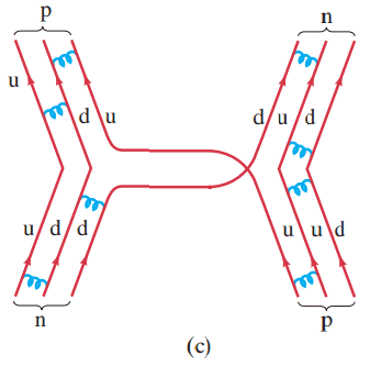 (c) Quark representation of the same interaction neutron + proton -> neutron + proton. The blue coiled lines between quarks represent gluon exchanges holding the hadrons together.