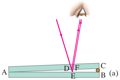 Light rays reflected from the upper and lower surfaces of a thin wedge of air (between two glass plates) interfere to produce bright and dark bands.