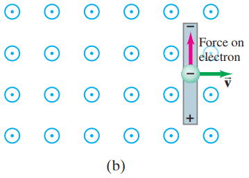 Upward force on an electron in the metal rod (moving to the right) due to B pointing out of the page; hence electrons can collect at the top of the rod, leaving + charge at the bottom.