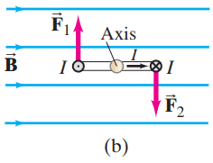 Calculating the torque on a current loop in a magnetic field B. (b) top view.