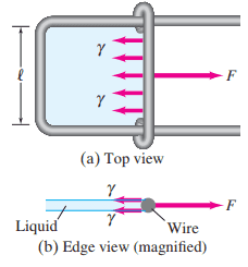 U-shaped wire apparatus holding a film of liquid to measure surface tension (gamma = F/2l).