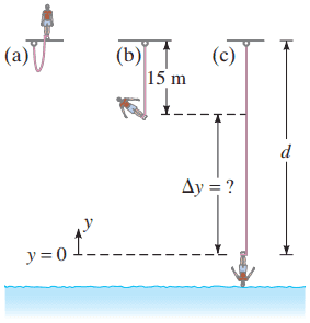 Problem 41. (a) Bungee jumper about to jump. (b) Bungee cord at its unstretched length. (c) Maximum stretch of cord.